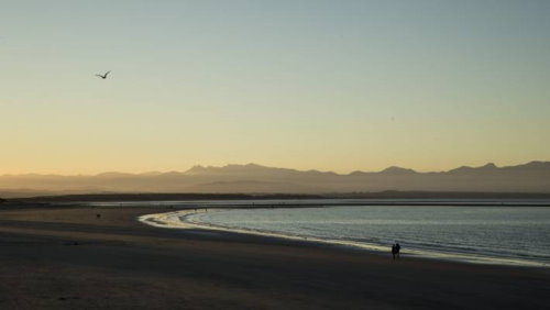 Tahunanui Beach